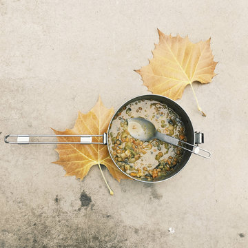 High angle view of food in utensil with autumn leaves on floor