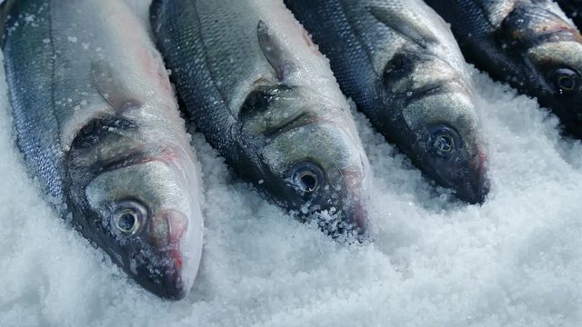Moving Past Fishes On Ice