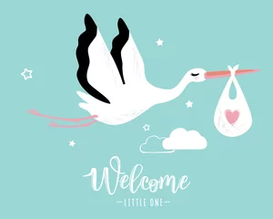 Fototapeten Vector illustration of a baby shower Invitation with stork © Polina Elyutina