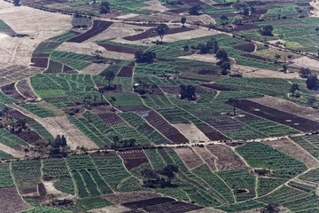 Vegetable fields  in Ethiopia.