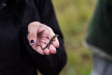 Person in black holding a small lizard