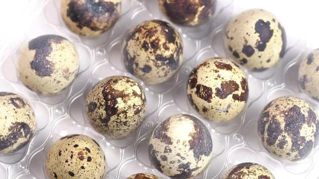 Uncooked quail eggs in pack. Rotating and closeup