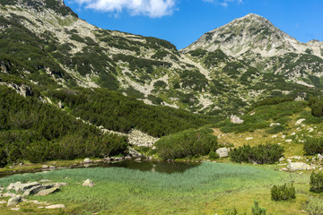 Fototapeta na wymiar Amazing Landscape with Mountain River and Hvoynati Peaks, Pirin Mountain, Bulgaria