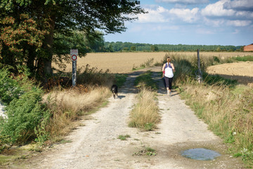 Fototapeta na wymiar Woman walking with dog amidst grass field