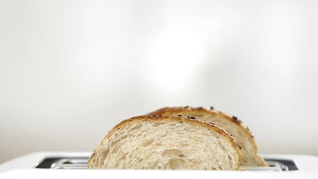 Fresh bread putting in white modern toaster machine