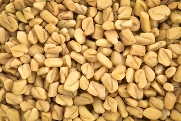 fenugreek organic sprouting seeds