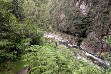 Ohinemuri river flowing in the Coramandel ranges near Karangahake