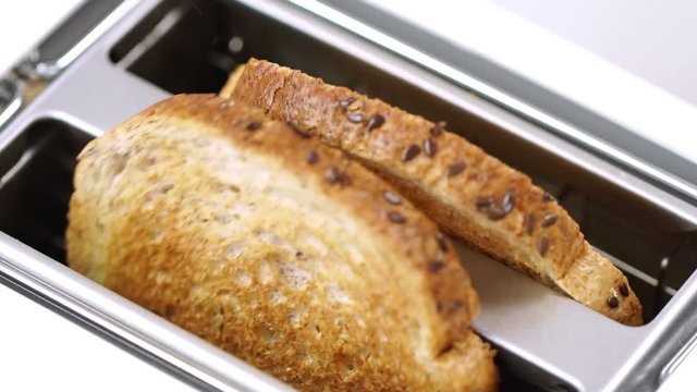 Fresh bread putting in white modern toaster machine