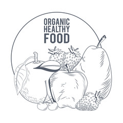 Organic healthy food hand drawings in black and white colors vector illustration