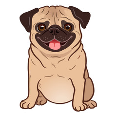 Pug dog cartoon illustration. Cute friendly fat chubby fawn sitting pug puppy, smiling with tongue out. Pets, dog lovers, animal themed design element isolated on white.