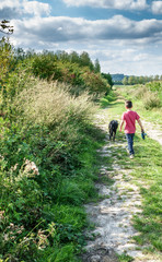 Boy walking with pet dog on path through field
