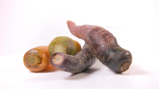 A bunch of carrots (not the usual variety, yellow and violet colors) on a rotating surface. Front medium shot.
