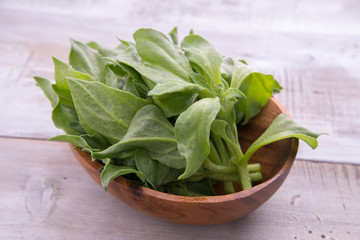 アイスプラント