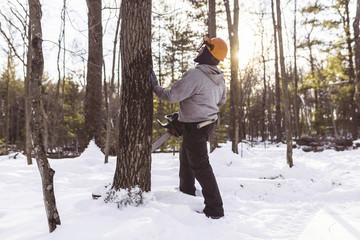 Lumberjack cutting tree trunk in forest during winter