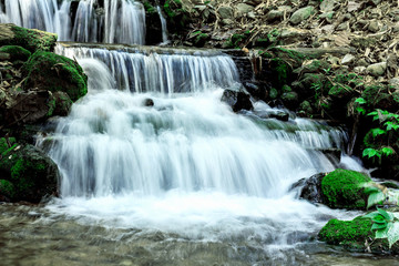 Small forest waterfall