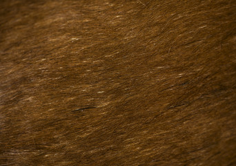 Closeup of rustic hay background