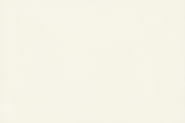 Plain white Background