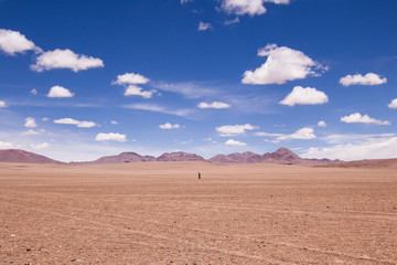 Man alone in the desert