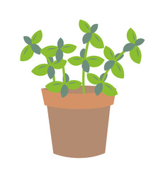 植木鉢　ハーブ