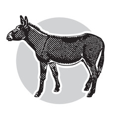 Donkey - black and white side view.
Cute farm animal in profile in engraving style. Vector illustration together with a large raster image.