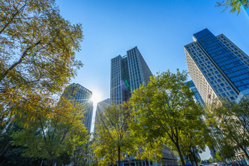 modern office building with green trees.