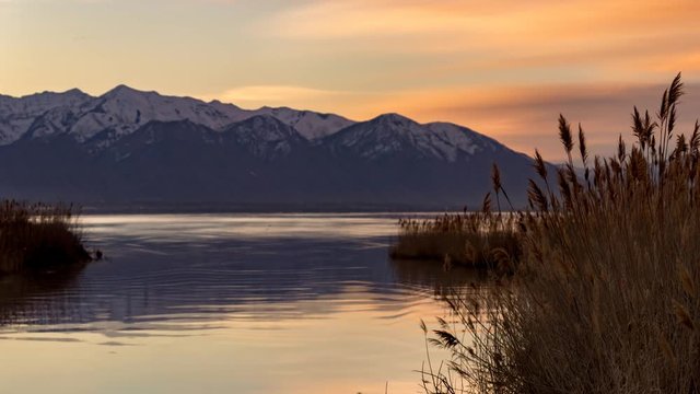 Cinemagraph of a calm lake with pampus grass focused in the foreground and the blurred mountains and sky in the background.  The water and sky is animated.
