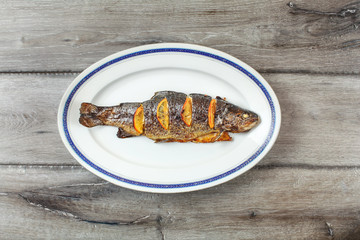 Grilled trout on white oval plate with blue, on gray wood table.