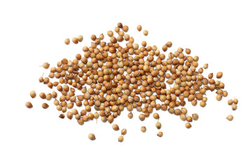 coriander seeds isolated on white background