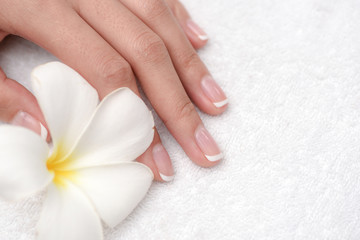 Hands Spa.Manicure concept
