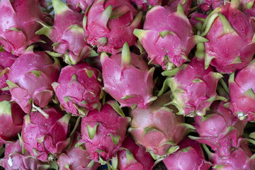 Close-up Many of red dragon fruits or pitaya or pitahaya in the fresh market.