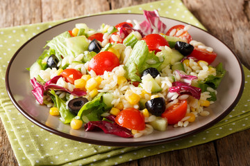 Tasty salad of fresh vegetables, rice and lettuce close-up on a plate. horizontal