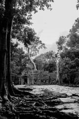 Angkor wat cambodia
