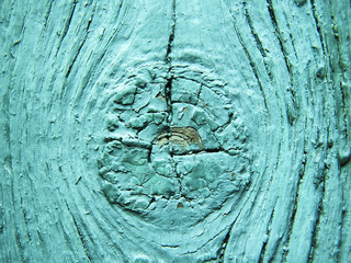 exture of an old tree, board with paint