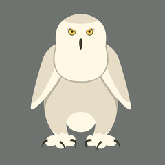 owl bird face vector illustration flat style front