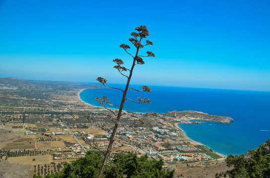 Rhodes island , Afantou and Faliraki beach Greece