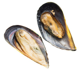 Mussels in the sink over white background