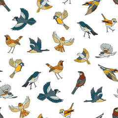 Spring birds seamless pattern. Colorful texture on white background