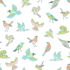 Spring birds seamless pattern. Colorful texture on white background. pastel colors