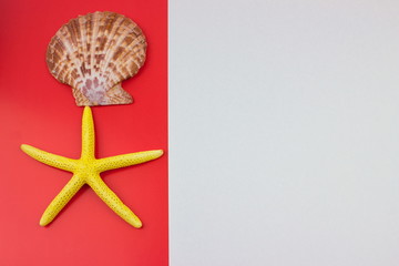 Marine items. Art concept. Red and White backgrond. Free space for designers. 	