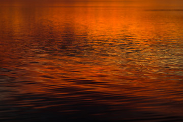 Lago Albufera Valencia 2