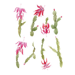 Schlumberger cactus vector set