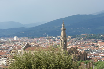 Obraz premium flower