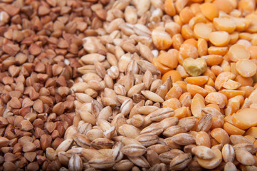 Natural wheat grain on the white