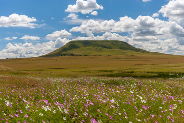 Rural Landscape of the Free State Province, South Africa