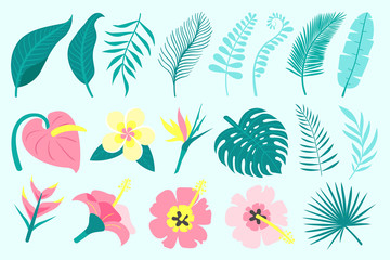 Set of tropical leaves and flowers. Palm leaves, jungle leaves, philodendron, monstera. Vector illustration