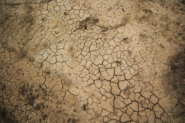 arid soil.