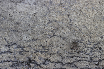 Old gray concrete wall with cracks. Texture & Background