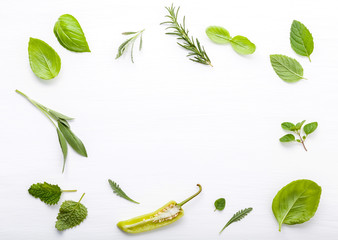 Fototapeta na wymiar Various fresh herbs for cooking ingrediens peppermint , sweet basil ,rosemary,oregano, sage and lemon thyme on white wooden background with flat lay and copy space.