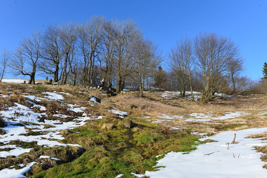 Die Fuldaquelle auf der Wasserkuppe bei Gersfeld (Rh&ouml;n)