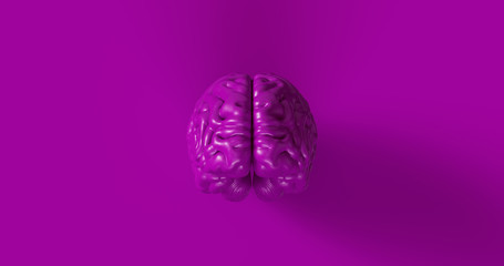Purple Human brain Anatomical Model 3d illustration